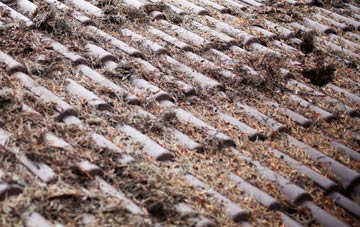 Little Chesterton roof cleaning companies