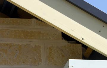 soffit repair Little Chesterton