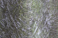 Little Chesterton fibreglass roof work